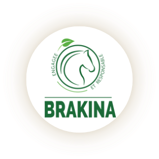 Brakina