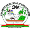 CNA