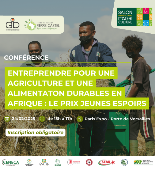 Conférence GID et Fonds Pierre Castel