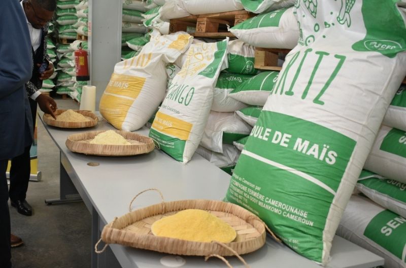 Farines de maïs produites par la Compagnie Fermière du Cameroun