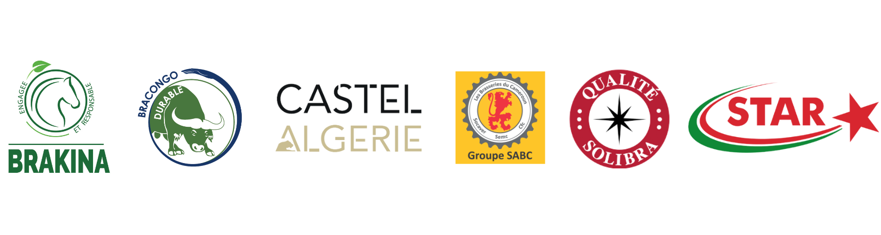 Fonds Pierre Castel - Logos filiales Castel partenaires