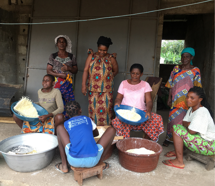 Agrisud - Groupe de femmes productrices d'attiéké à Adattié