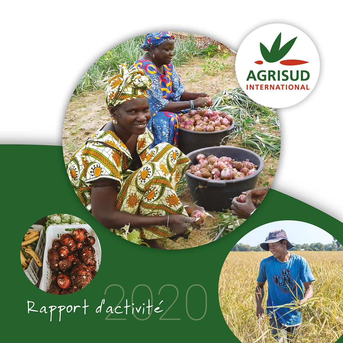 Illustration rapport d'activité Agrisud2