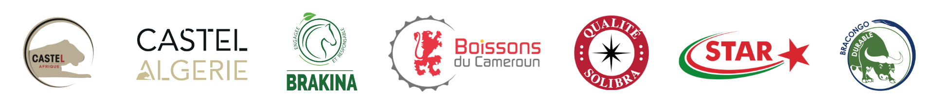 Logo filiales Castel Afrique 2023