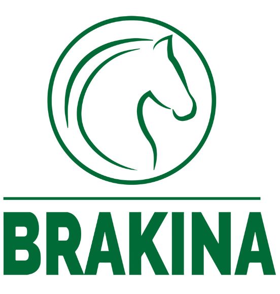 Logo Brakina