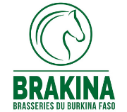 logo brakina