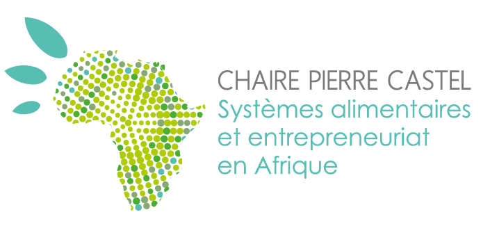 Logo Chaire Pierre Castel