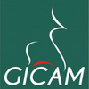 Logo du GICAM - Patronat du Cameroun