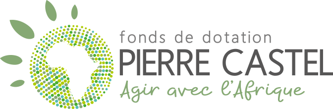 logo-fonds-dotation-pierre-castel