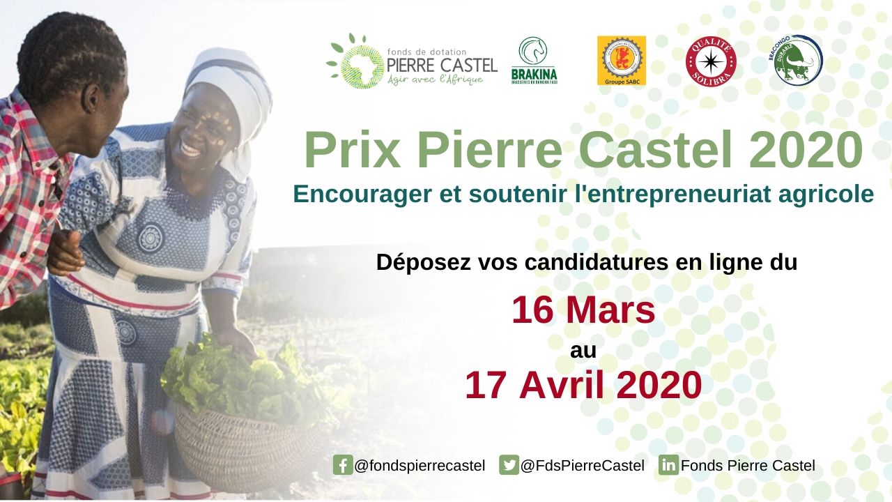 Prix Pierre Castel 2020 - Visuel lancement des appels à projets