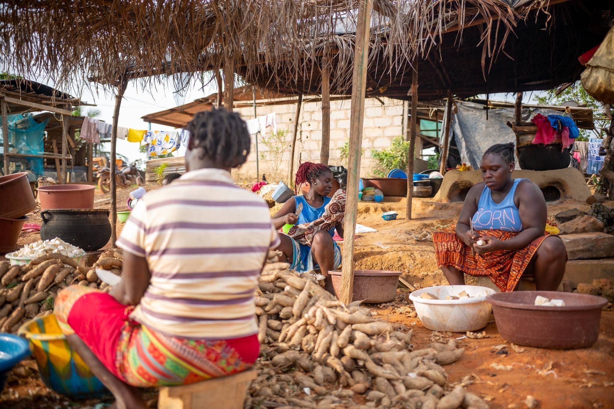 Projet Profit Côte d'Ivoire - Agrisud