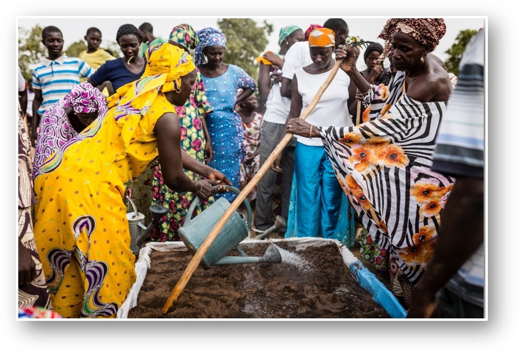 Projet de Redynamisation de la production agricole au Sénégal