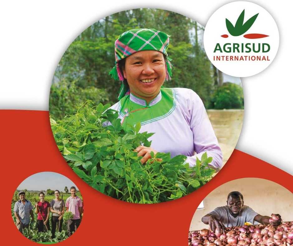 Rapport d'activités 2019 Agrisud