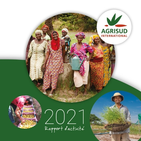 Rapport d'activités Agrisud