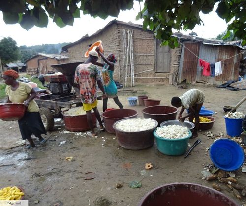 Broyage du manioc à Adattié