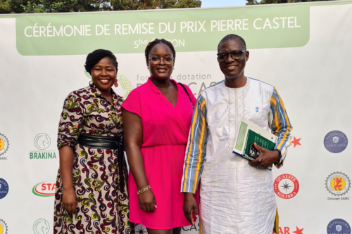 Cérémonie panafricaine de remise du Prix Pierre Castel à Kinshasa