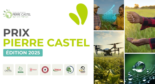 Prix Pierre Castel 2025