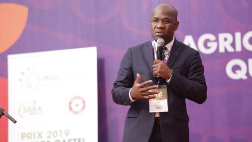 Prix Pierre Castel 2019