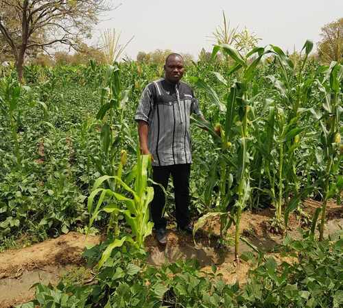 Vincent Dakuyo - Cabre SARL